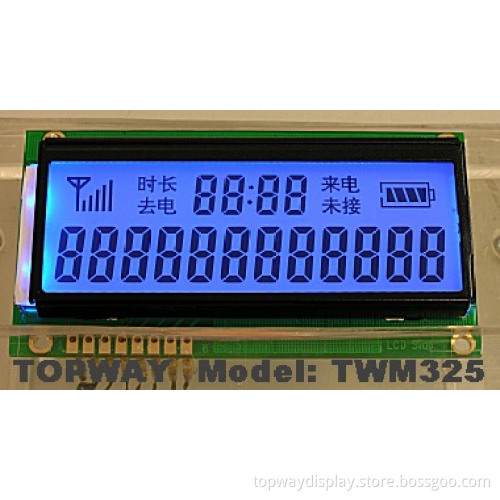 Segment Display TWM325-1